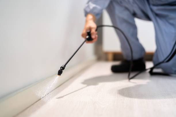 Licensed Termite Control service in Glenville, WV - Nex Pest Control