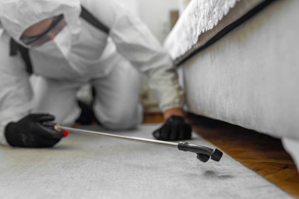 Professional Termite Control technician working in Glenville, WV