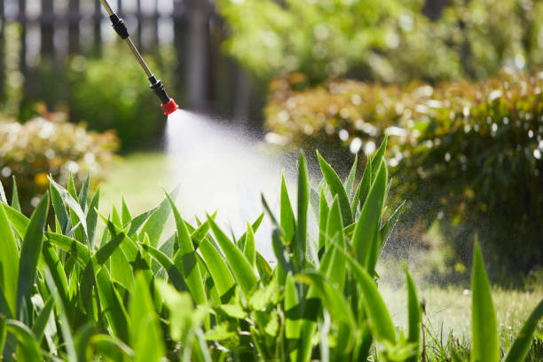 24/7 Emergency Termite Control experts in Glenville, WV