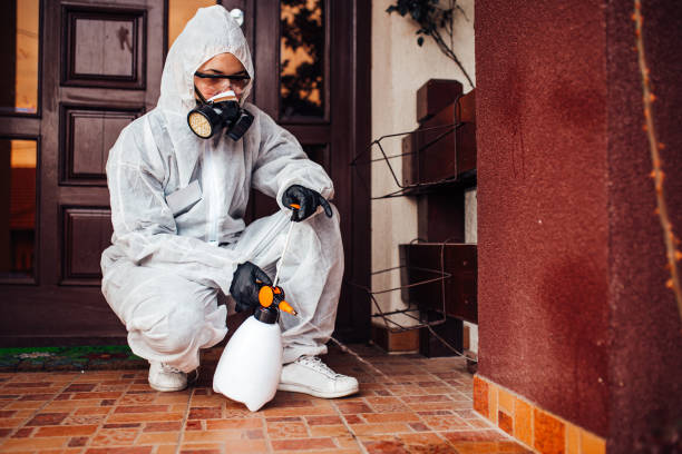 Reliable Termite Control contractor in Glenville, WV by Nex Pest Control