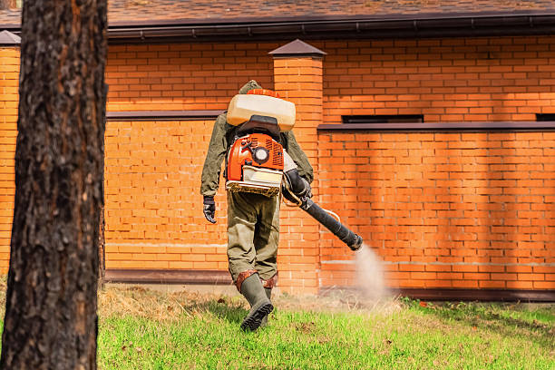 Trusted Cockroach Control service in Glenville, WV - Nex Pest Control